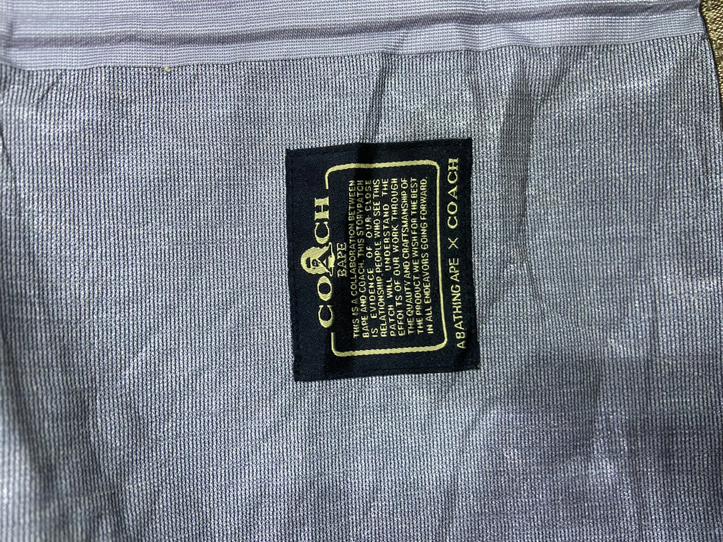 A BATHING APE X COACH SNOWBOARD JACKET